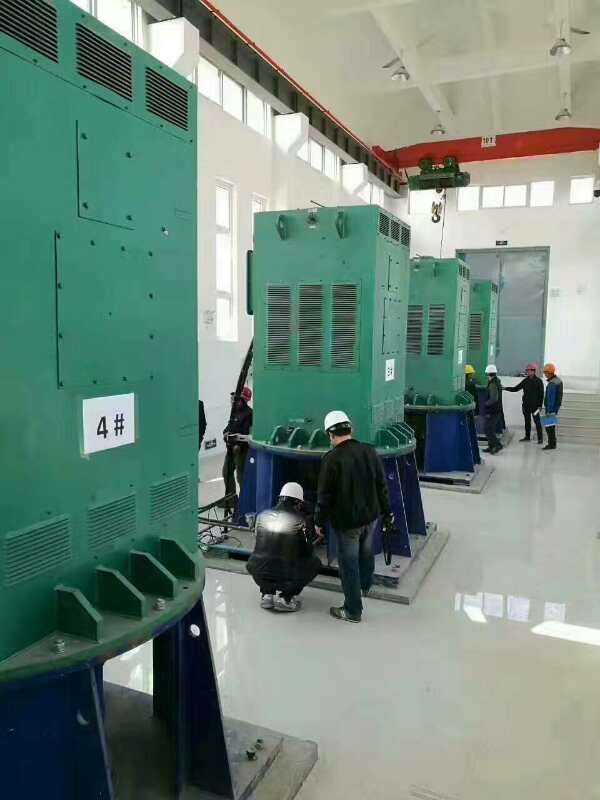 YJTFKK3553-2/280KW某污水处理厂使用我厂的立式高压电机安装现场