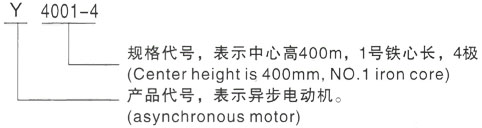 西安泰富西玛Y系列(H355-1000)高压YJTFKK3553-2/280KW三相异步电机型号说明